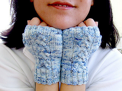 Mitt Envy photo 2