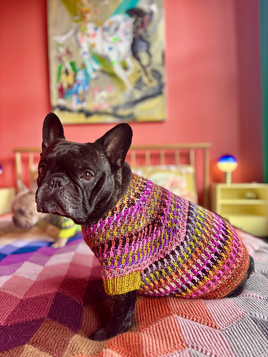 Syncopated_Dog_Sweater_24_medi