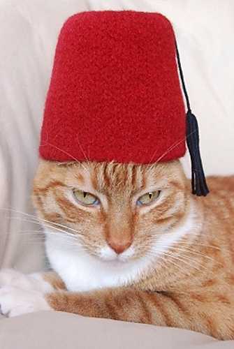 International Cat Hat: Turkey photo 1