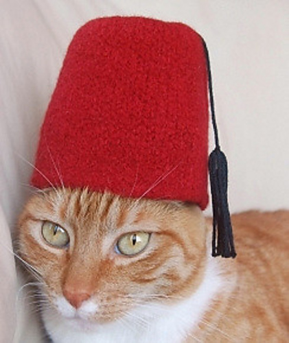 International Cat Hat: Turkey photo 2