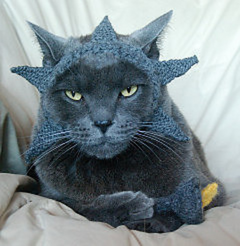 International Cat Hat: USA photo 1
