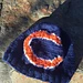 Bears Beanie pattern 