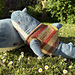 Support Shark Sweater pattern 