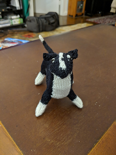 Staffordshire Bull Terrier - winterreader42