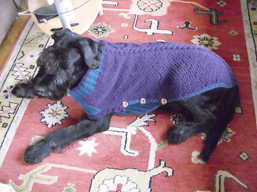 Hundepulli Maxi - dog sweater photo 2