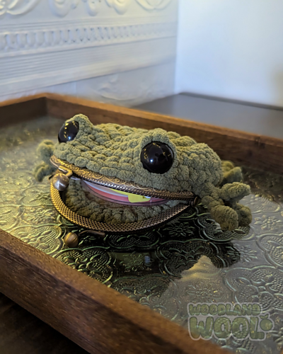 Rupert the Ribbiting Coin Purse