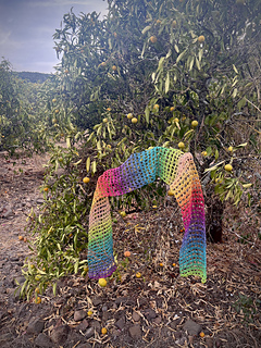 Regenbogen