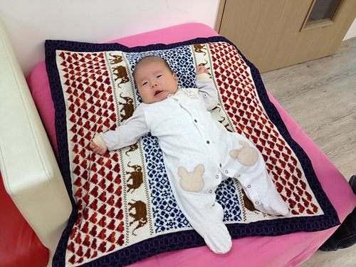 Baby Blanket Latvian Garden photo 6