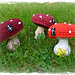 Fairy Toadstool House photo 3