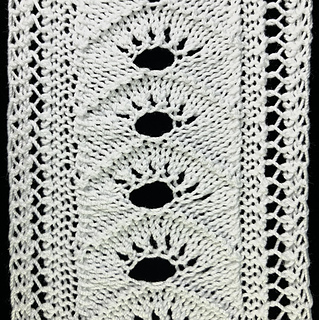Peacock's Eye