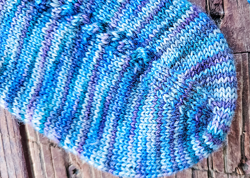 Elizabeth Socks photo 8