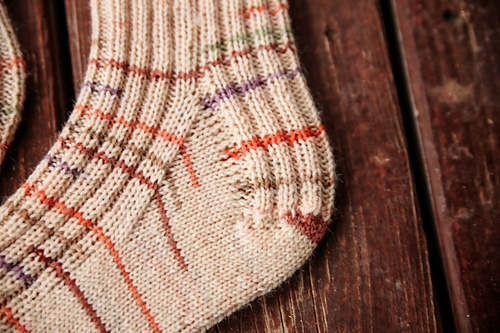 Ezra Socks photo 6