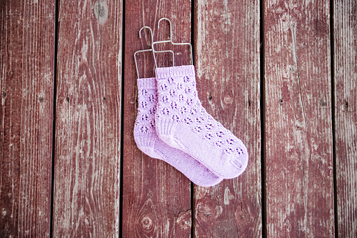 Saffron Socks photo 8
