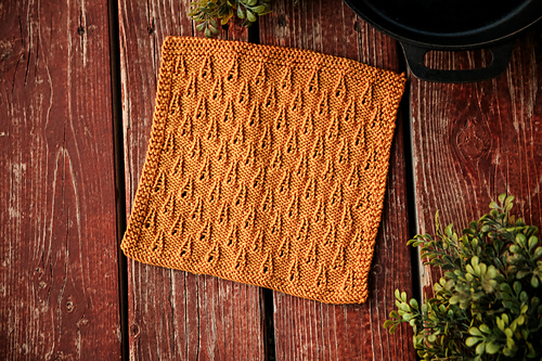 Jacob Dishcloth