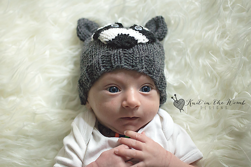 Little Rascal Raccoon Beanie photo 1