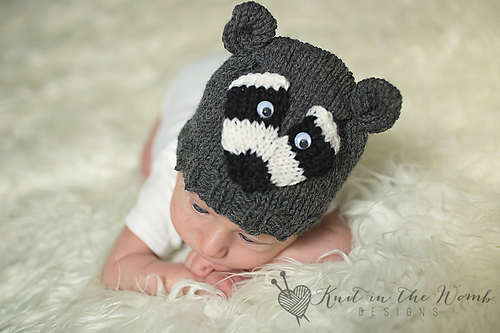Little Rascal Raccoon Beanie photo 2