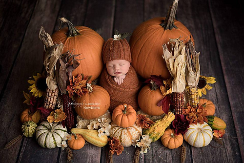 Pumpkin Spice Beanie photo 2