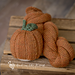Pumpkin Spice Beanie photo 4