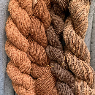 L-R: Dorset: No mordant No modifier; Bond: Copper mordant No modifier; Suffolk: No mordant Iron modifier; Merino: Alum mordant 1/2 Iron modifier 1/2 No modifier 