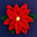 Poinsettia Flower pattern 