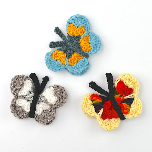 Butterfly photo 9
