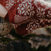 Rhinebeck Memories Socks pattern 