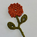 Devil's Paintbrush pattern