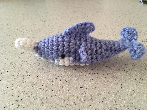 Dolfijn / Dolphin photo 3